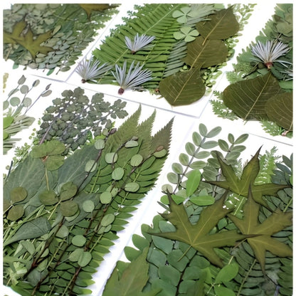 Dried Flower Material Pack 120pcs for Entryways, Bedrooms and Living Spaces, with the Listed Configuration