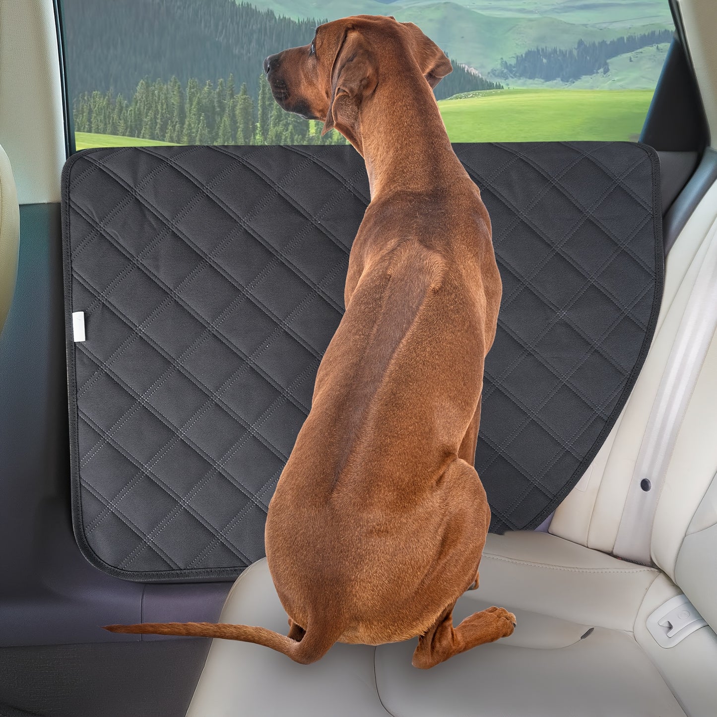 Car Door Protector for Dogs 2-Pack | Pet Scratch Guard Cover for Car Interior Door Panel, Waterproof Dirt-Resistant with Exclusive Lock Tabs