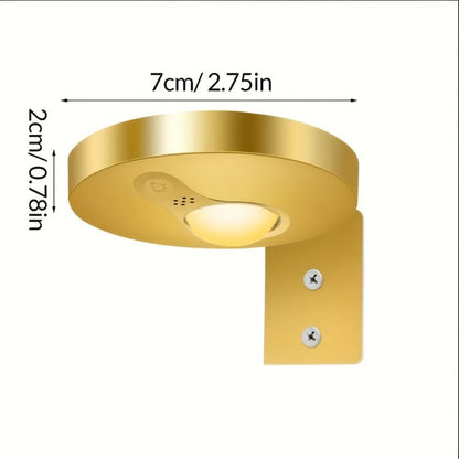 Picture Lights for Wall Rechargeable, Magnetic LED Art Display Light with Remote 3 Color Temperatures Dimmable Timer Golden Finish