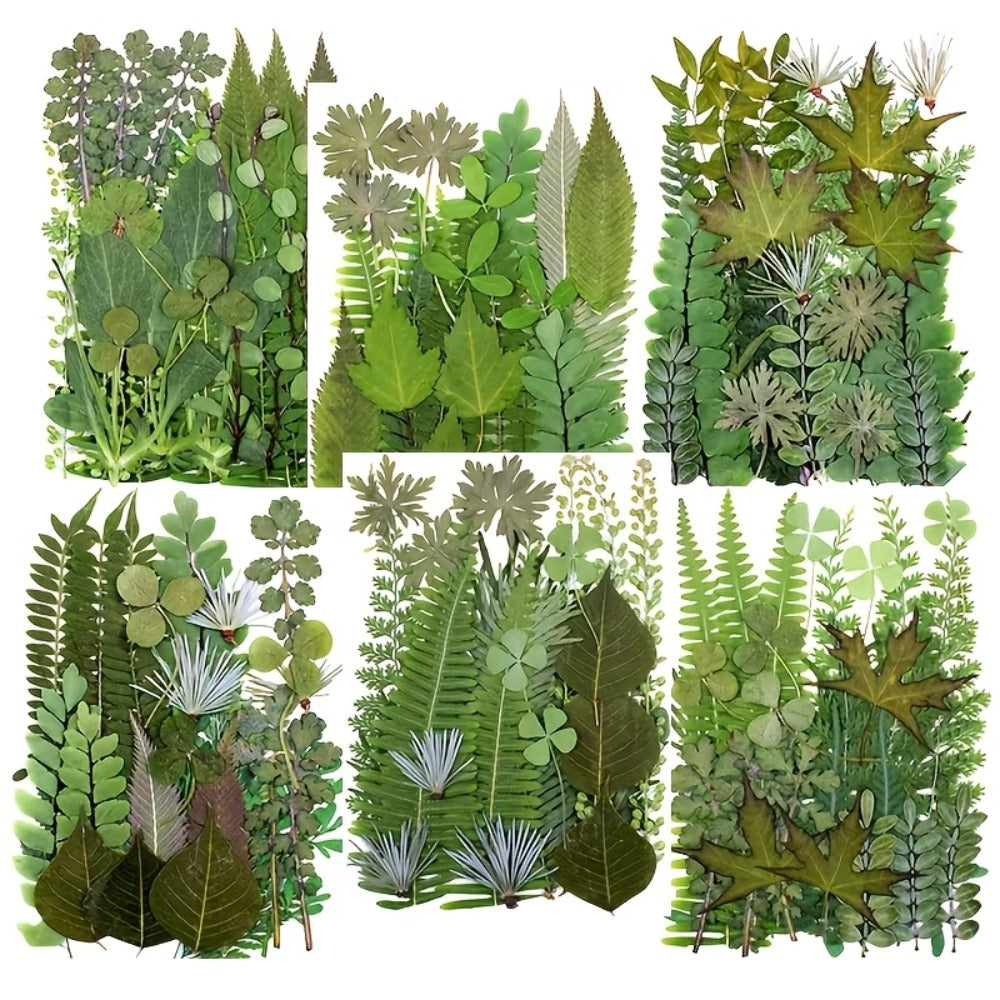 Dried Flower Material Pack 120pcs for Entryways, Bedrooms and Living Spaces, with the Listed Configuration