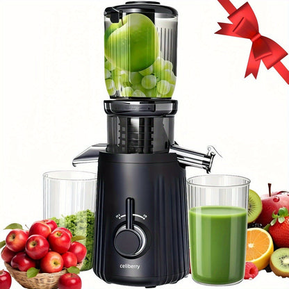 Masticating Juicer Cold Press - 4.25" Wide Feed Chute Auto-Feed Slow Juicer for Whole Fruits & Vegetables