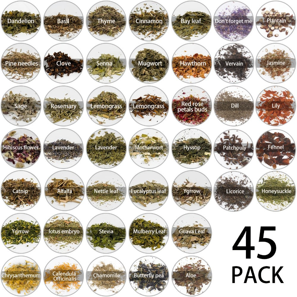 Dried Herbs Kit 45 Bottles with Crystal Spoon, Altar Supplies Herb Set for Wicca, Pagan Magic, Incense Spells & Bath Rituals