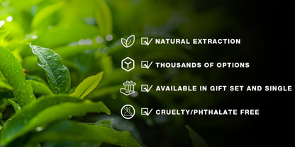 Essential Oils Set for Diffuser, Rosemary Aromatherapy Scented Oils for Home Air Freshening, Humidifier