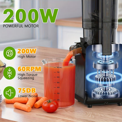 Cold Press Juicer Machine with Large Feed Chute - Slow Masticating Juicer for Whole Fruits & Vegetables