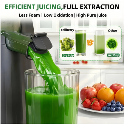 Masticating Juicer Cold Press - 4.25" Wide Feed Chute Auto-Feed Slow Juicer for Whole Fruits & Vegetables
