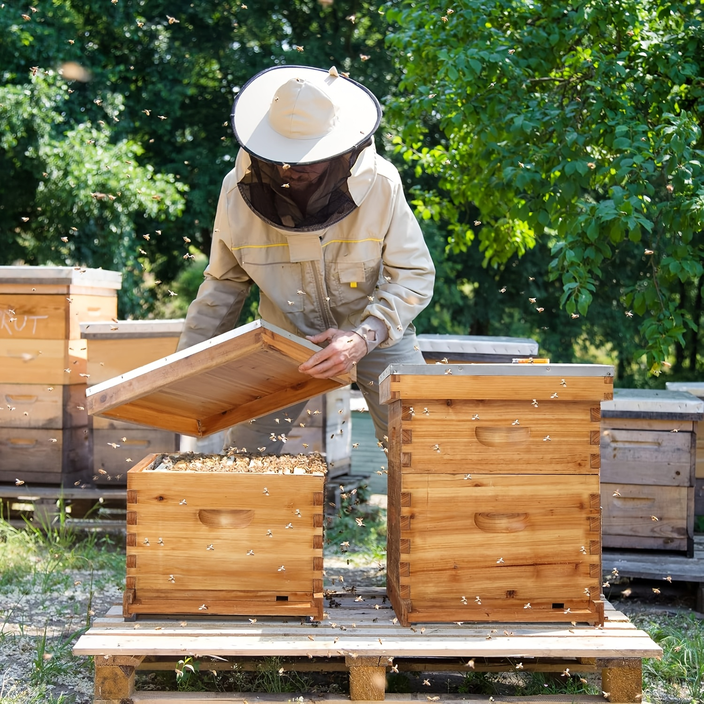 Langstroth Bee Hive Kit Wax Coated Wood 10-Frame 3-Layer Frames for Everyday Face, Beard and Body Grooming