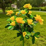 Yellow Rhododendron