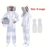X-Large