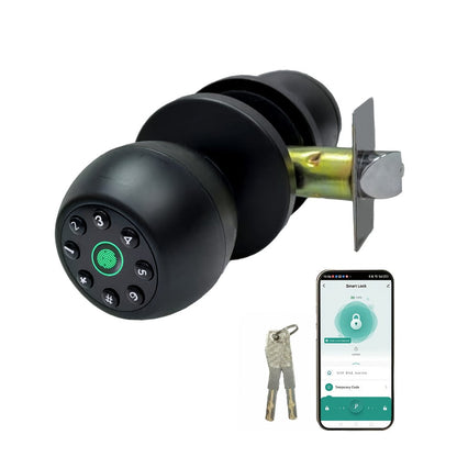 Matte Black Smart Door Knob Lock with Fingerprint & Keypad, App Control, Auto Lock for an Everyday Personal Care Routine