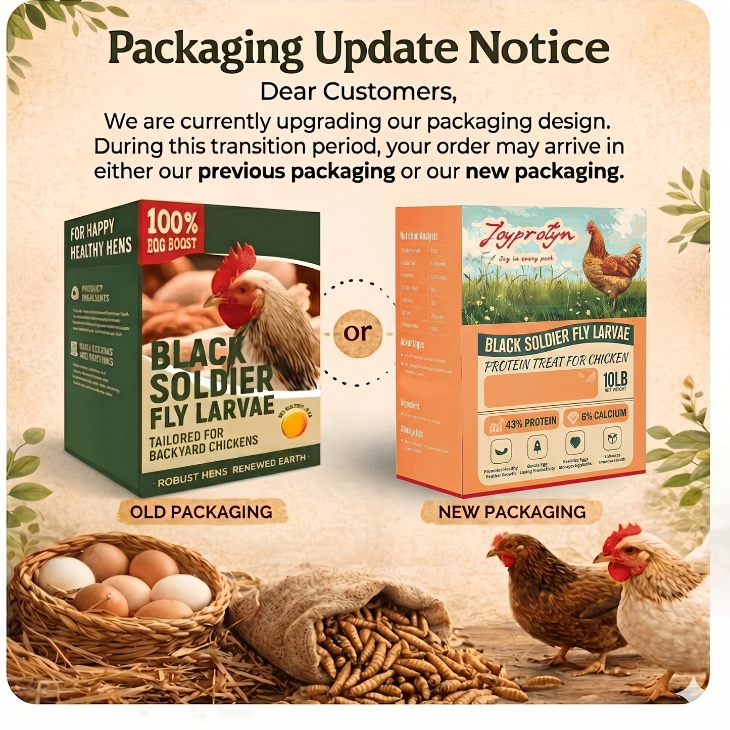 Dried Black Soldier Fly Larvae for Chickens – High Protein BSF Larvae Treats with Calcium for Laying Hens Ducks Quail Birds Reptiles Non-GMO