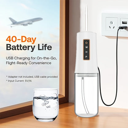 Water Flosser Oral Care Kit, 3-Mode Portable Electric Dental Cleaner, USB Rechargeable, 4-Function Nozzle