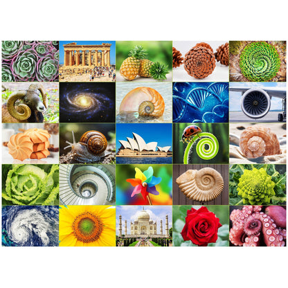 1000 Piece Jigsaw Puzzles for Adults 3-Pack – Challenging Large Puzzle Set with Wildlife, Scenic Landscape & Nature Themes | Letters on