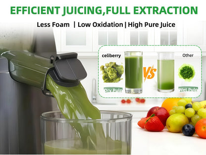 Masticating Juicer Cold Press - 4.25" Wide Feed Chute Auto-Feed Slow Juicer for Whole Fruits & Vegetables