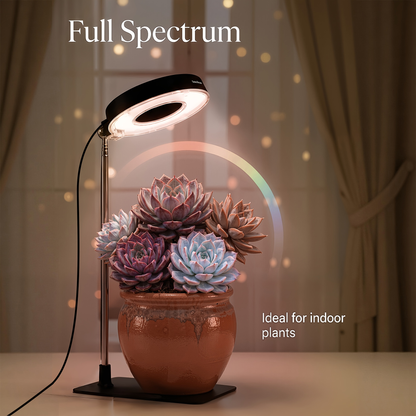 Four-Piece Tabletop Ring LED Plant Lamp Set with USB 3/6/9H Timer, Adjustable Poles and Bases