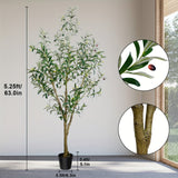 5.25FT Artificial Olive Tree