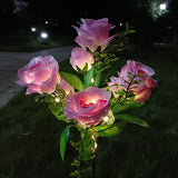 2 pink 7 roses