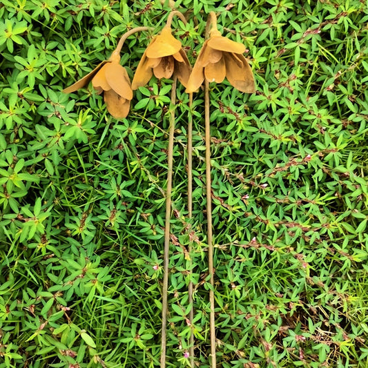 Rustic Metal Snowdrop Garden Stakes, Three-Piece Curved Flower Set with 25 cm Stems for Pots and Borders