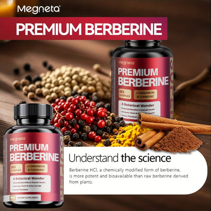 Berberine with Ceylon Cinnamon, Turmeric & Black Pepper, Premium Blood Sugar Support, Vascular Health & Digestive Wellness Capsules
