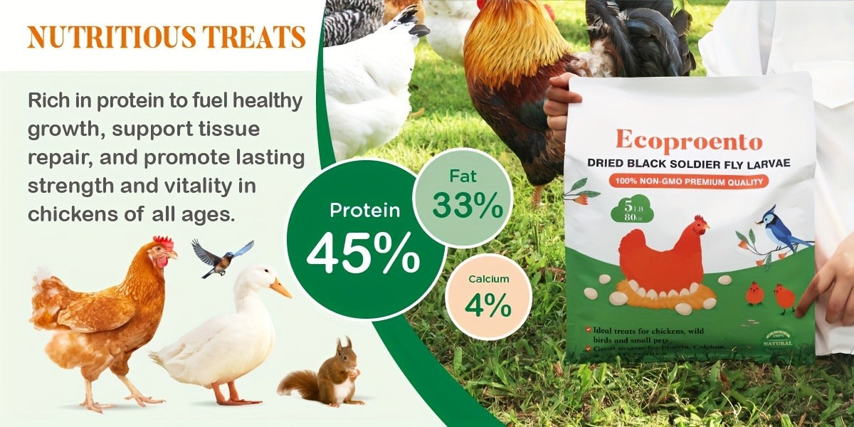 Non-GMO Dried Black Soldier Fly Larvae 5LB & 10LB – 85X More Calcium Than Mealworms, High Protein BSFL Treats for Chickens, Ducks
