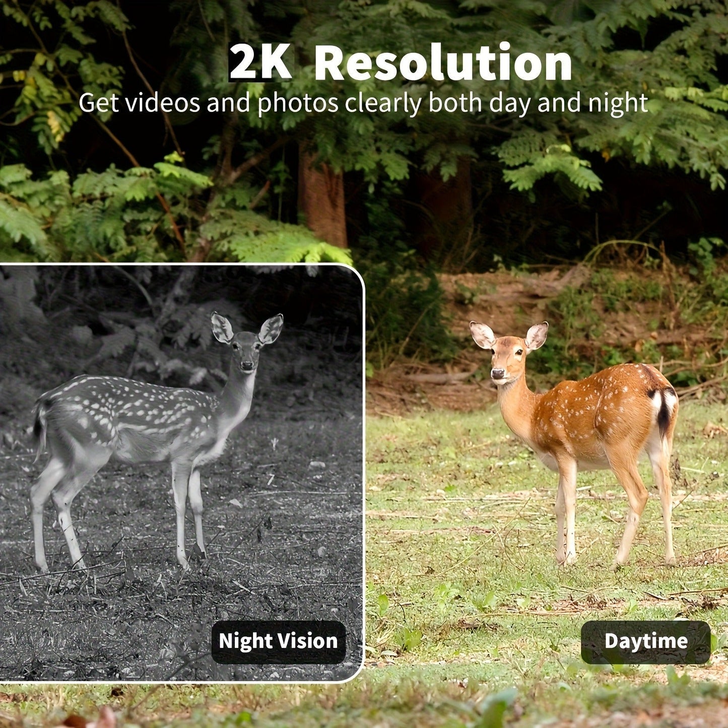 4G Cellular Game Camera Solar Powered – 2K Live View, 0.02s Motion Trigger, Night Vision, No WiFi Needed for Hunting & Wildlife