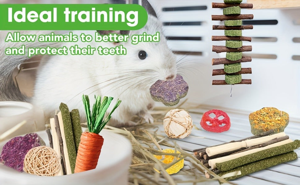 Small Animal Dental Treats 21pcs – Natural Timothy Hay Variety Set with Hay Sticks, Timothy Cakes & Carrot Strawberry Treats for Rabbits