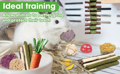 Small Animal Dental Treats 21pcs – Natural Timothy Hay Variety Set with Hay Sticks, Timothy Cakes & Carrot Strawberry Treats for Rabbits