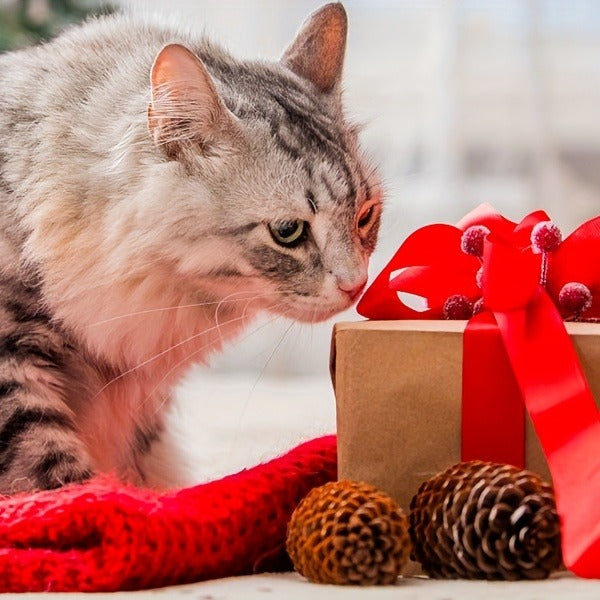 Cat Teaser Toy 7-in-1 USB Rechargeable – Interactive Wand Toy for Indoor Cats & Dogs, Feather Chaser Exercise Toy with Free Bonus Mouse Toy