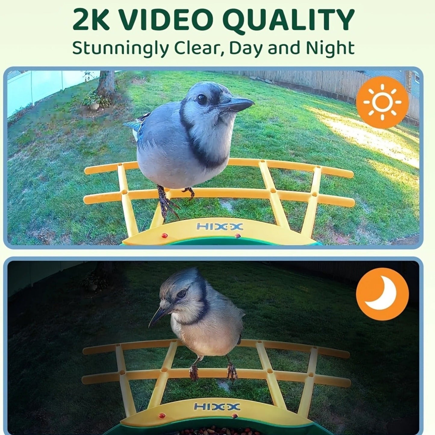 Smart Bird Feeder with Camera AI Bird Identification, 2K HD Live View, Auto Capture & Color Night Vision