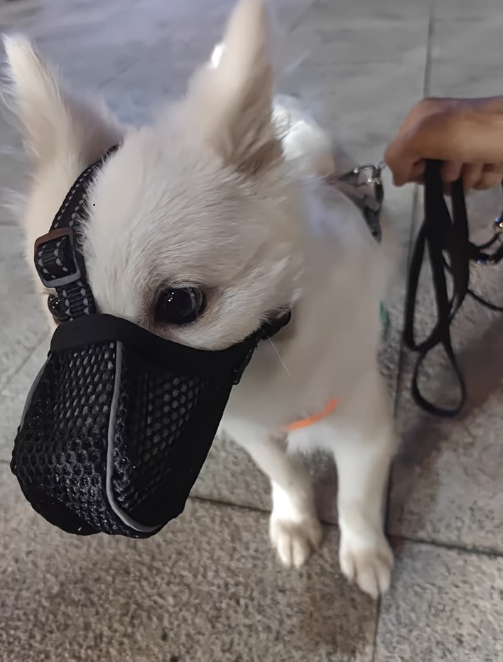 Dog Muzzle Reflective Mesh 2 Pack Anti-Bite Full Coverage with Adjustable Straps, Soft Breathable Polyester Dog Mask for Grooming Vet Visits