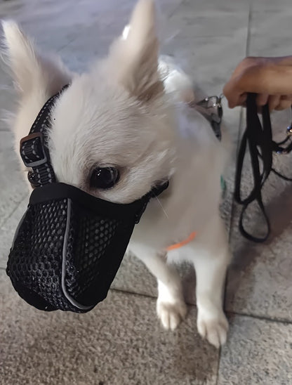 Dog Muzzle Reflective Mesh 2 Pack Anti-Bite Full Coverage with Adjustable Straps, Soft Breathable Polyester Dog Mask for Grooming Vet Visits
