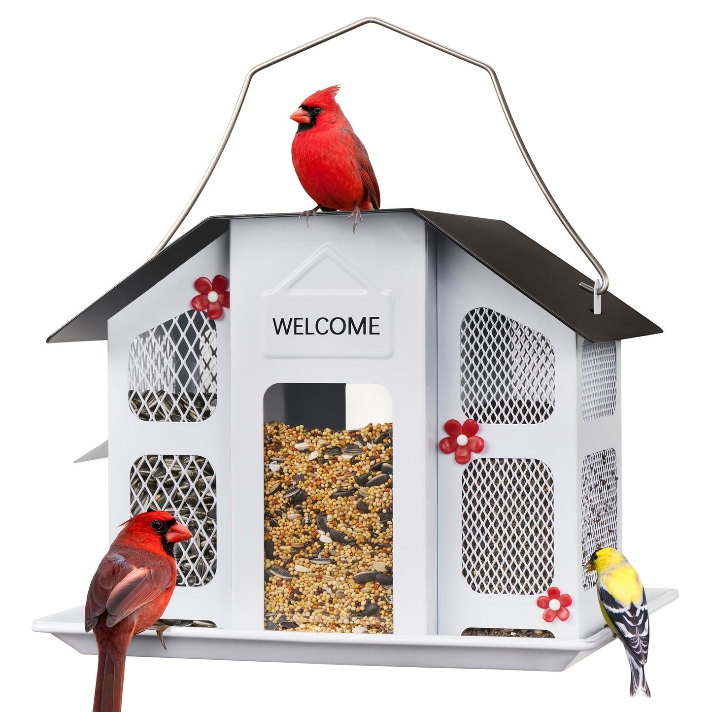 Metal Bird Feeder for Outside – 4 Lbs Large Capacity Hanging Wild Bird Feeder, for Garden, Yard and Pest Management