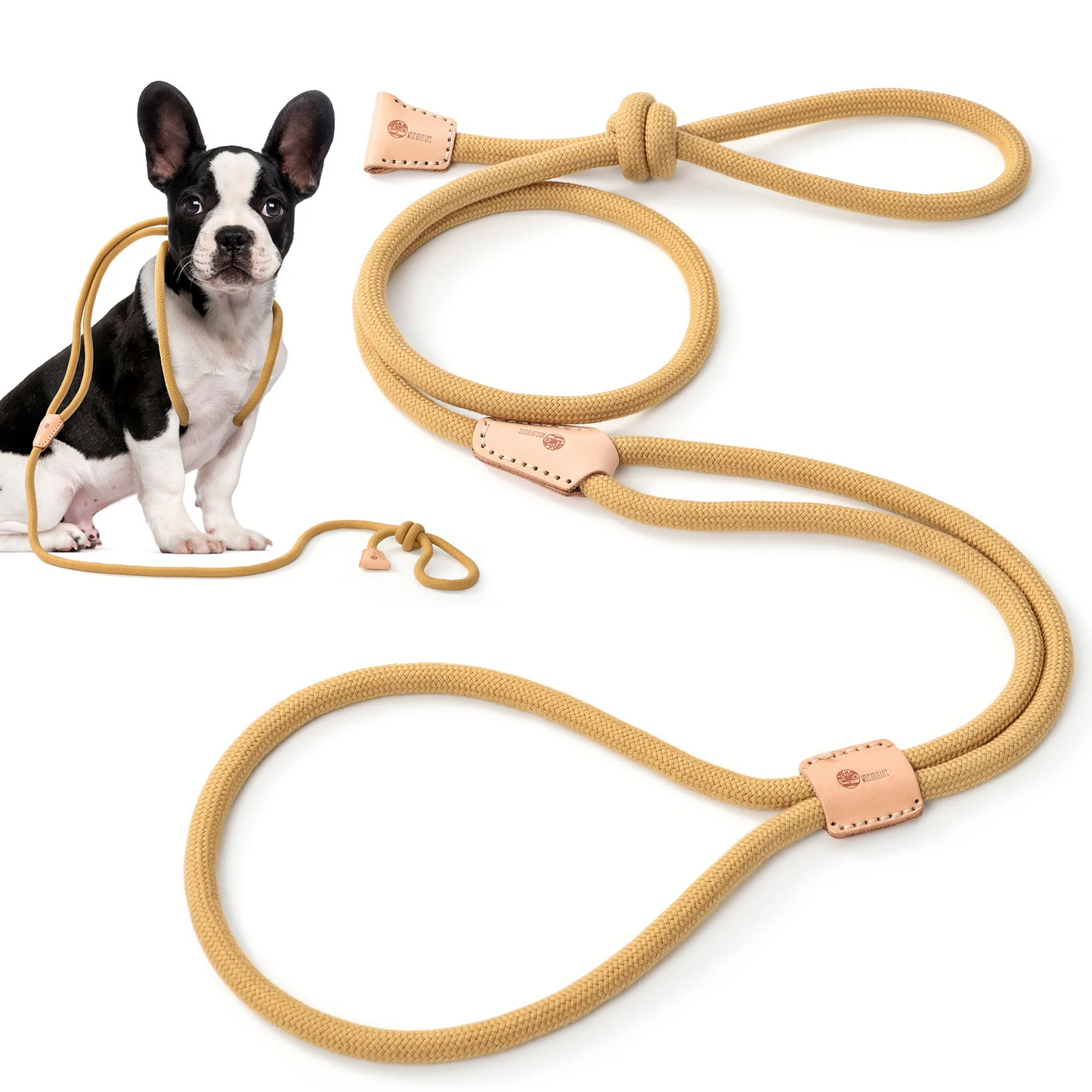 Dog Slip Leash and Harness 2-in-1 Rope Lead – No Pull All-in-One Training Leash for Puppies & Small Dogs, Adjustable Slip Lead with Soft