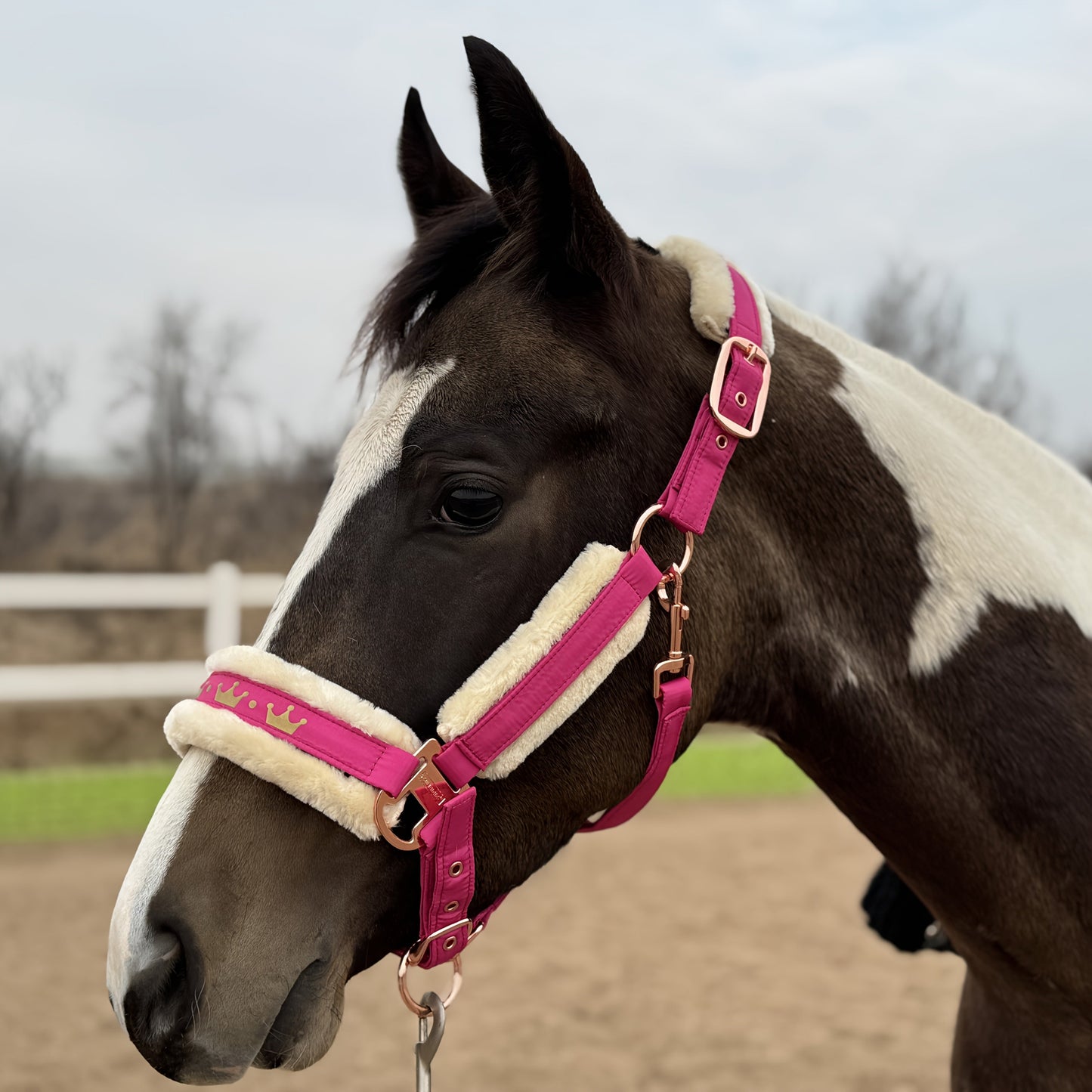 Horse Halter with Detachable Faux Fur Band & Glossy Buckle – Adjustable Head Collar for Horses, Available in 15 Colors & 3 Sizes FULL COB
