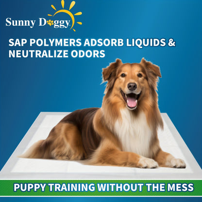 Potty Pads for Puppies Large – Disposable Pee Pads with Odor Control, Leak-Proof & Super Absorbent – Puppy Potty Pads for Housebreaking