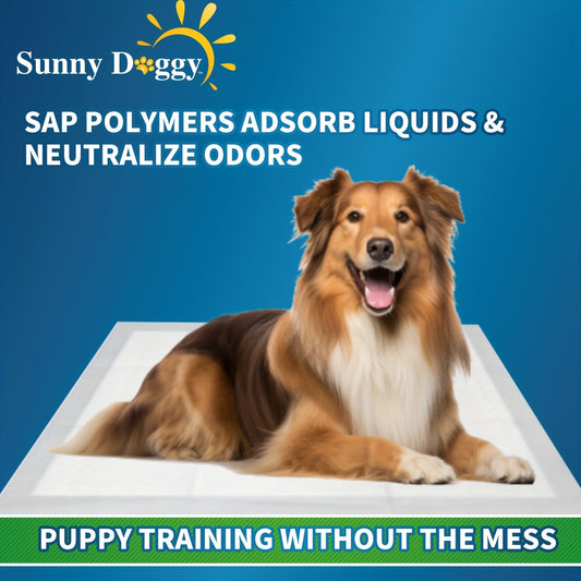 Potty Pads for Puppies Large – Disposable Pee Pads with Odor Control, Leak-Proof & Super Absorbent – Puppy Potty Pads for Housebreaking