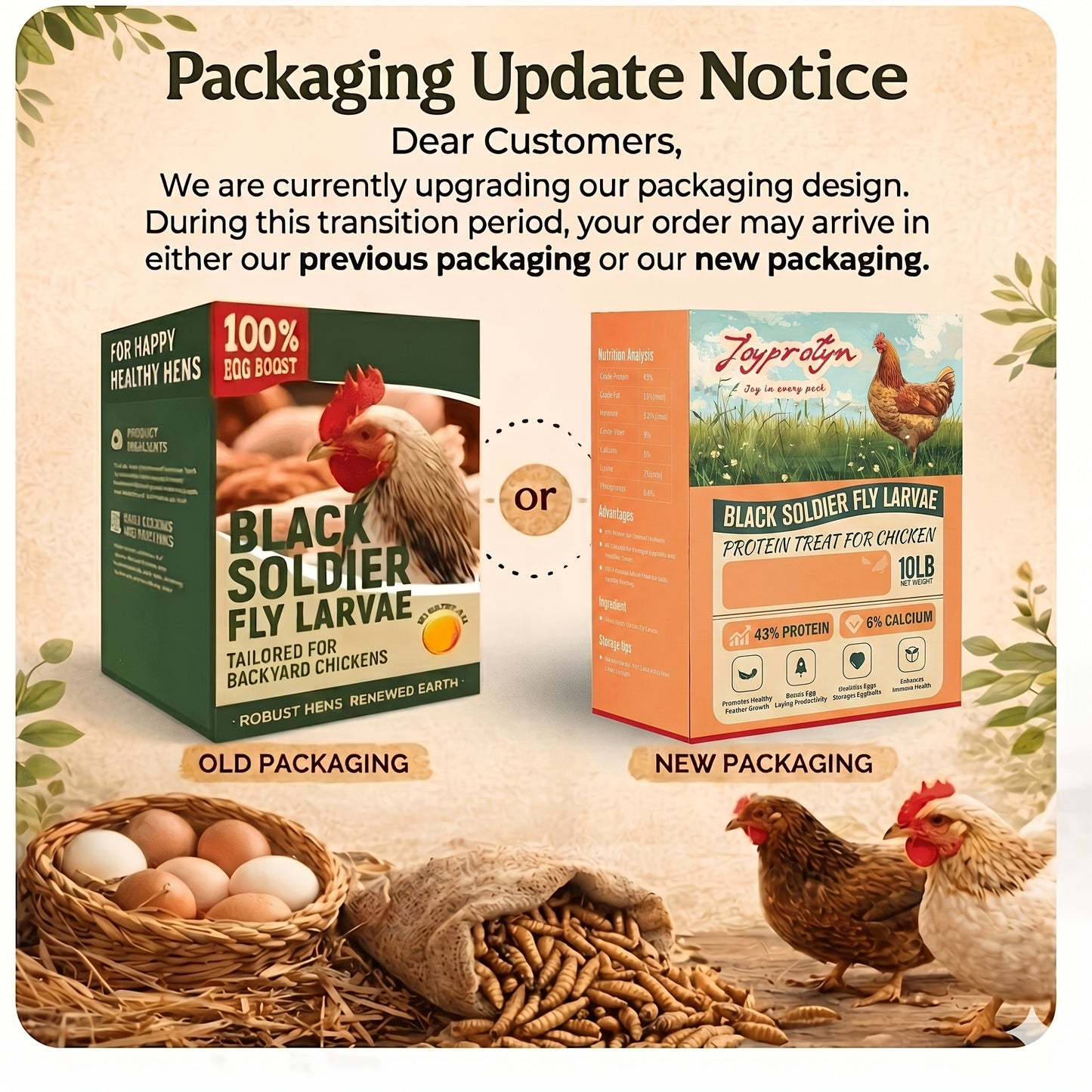 Dried Black Soldier Fly Larvae for Chickens – High Protein BSF Larvae Treats with Calcium for Laying Hens Ducks Quail Birds Reptiles Non-GMO