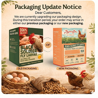 Dried Black Soldier Fly Larvae for Chickens – High Protein BSF Larvae Treats with Calcium for Laying Hens Ducks Quail Birds Reptiles Non-GMO