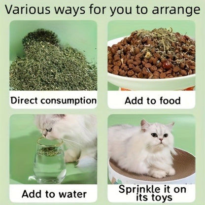 Natural Cat Treats 100g – Dried Herb Snacks for Cats to Aid Digestion, Reduce Hairballs & Stress, Promote Oral Health and Stimulate Natural