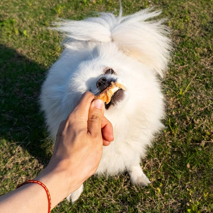 Duck Wrapped Dog Treats – Natural Duck Calcium Bones & Dried Chicken Breast, High Protein Digestible Chewing Rewards