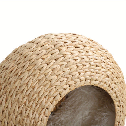 Cat Wall Furniture Wall Mounted Cat Condo – Natural Wood Cat Wall Shelf with Washable Cushion, Space-Saving Indoor Cat Perch for Cats