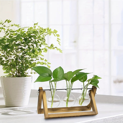 Propagation Station 3 Bulb Glass Vase with Wooden Stand – Hydroponic Plant Terrarium for Home Office Desk Decor