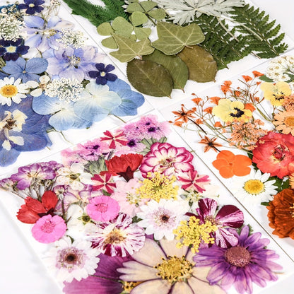 Dried Flowers Set 110 Pieces Vibrant Dried Flowers and Leaves for DIY Crafts Resin Jewelry Making Phone Case Candle Making Scrapbooking