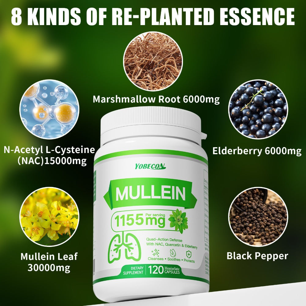 Herbal Supplement with YOBECON Label, Mullein NAC Quercetin Elderberry 1155mg per Serving, 120 Capsules