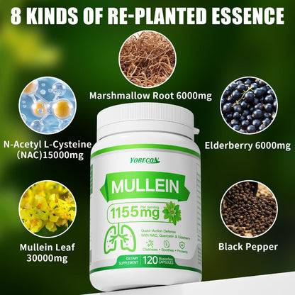 Herbal Supplement with YOBECON Label, Mullein NAC Quercetin Elderberry 1155mg per Serving, 120 Capsules