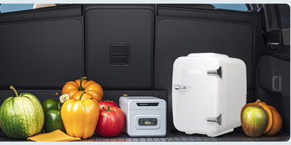 Mini Fridge 4 Liter 6 Cans - Thermoelectric Cooler and Warmer, 110V AC & 12V DC Portable Small Refrigerator for Bedroom