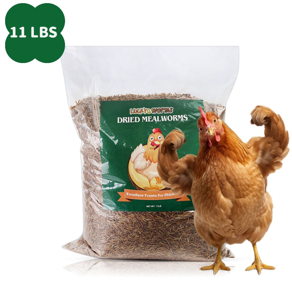 Dried Mealworms High Protein Animal Feed – Natural Insect Treats for Chickens Wild Birds Hens Ducks Turtles Fish Lizards Hamsters