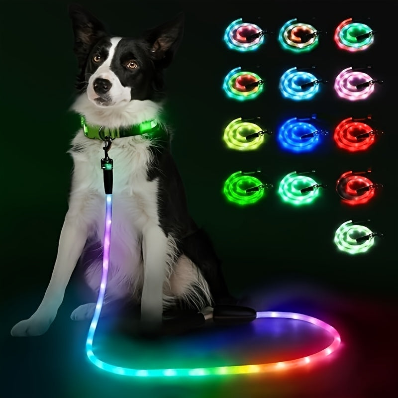 LED Dog Leash Light Up 4FT Rechargeable with 7 Lighting Modes, Glow in the Dark Reflective Double-Sided Lighted Dog Leash