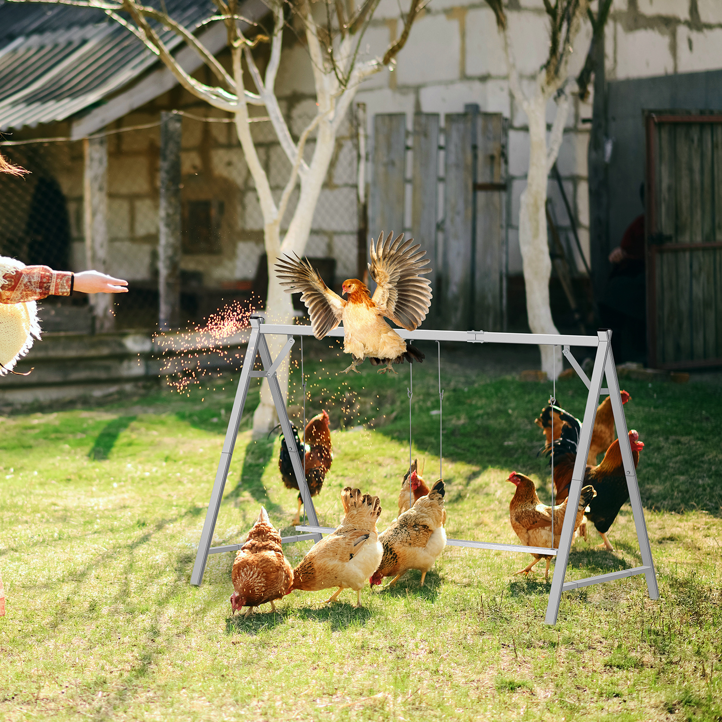 Chicken Swing Coop Toy Metal Perch for Backyard Hens Roosters Parrots Rabbits Promotes Exercise Balance for Garden, Patio and Yard Use