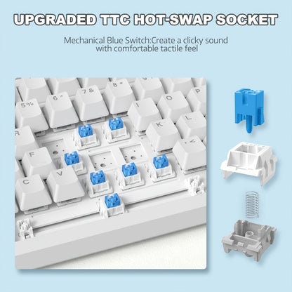Hot Swap Gasket Mechanical Keyboard AJAZZ AK820 75%, Wireless 2.4GHz & Wired, Volume Knob, South-Facing RGB