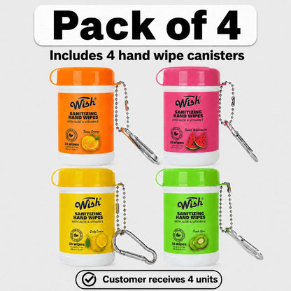 Disposable Hand Wipes Assorted Packs – Portable Travel Size Hand Cleaning Wipes for Everyday Use